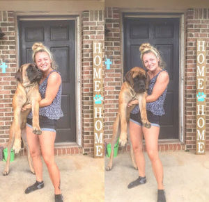 Meet your Posher, Taylor